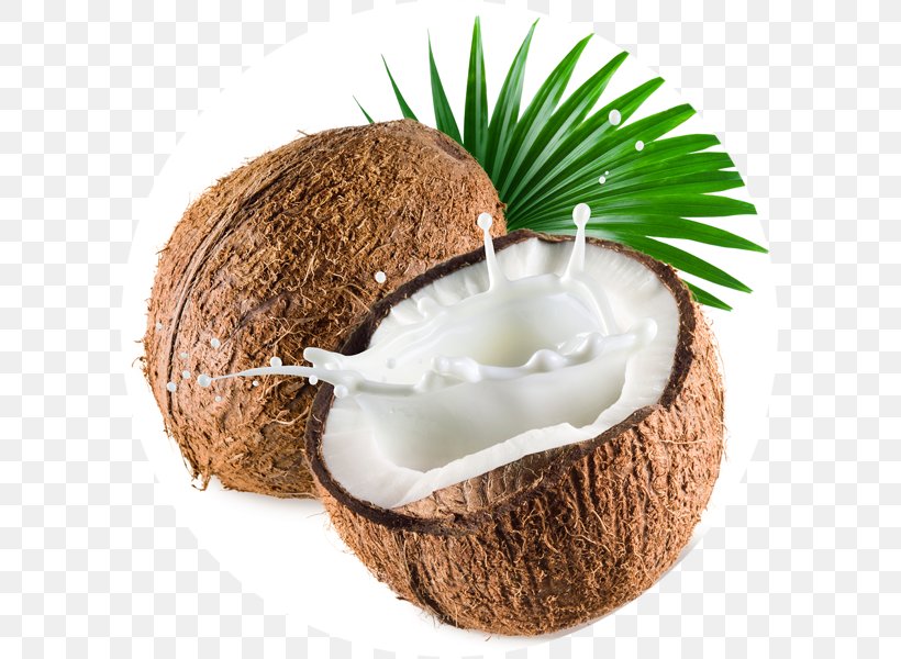 Coconut Milk Ice Cream Flavor, PNG, 600x600px, Coconut, Coco Loco, Coconut Milk, Coconut Oil, Cuisine Download Free