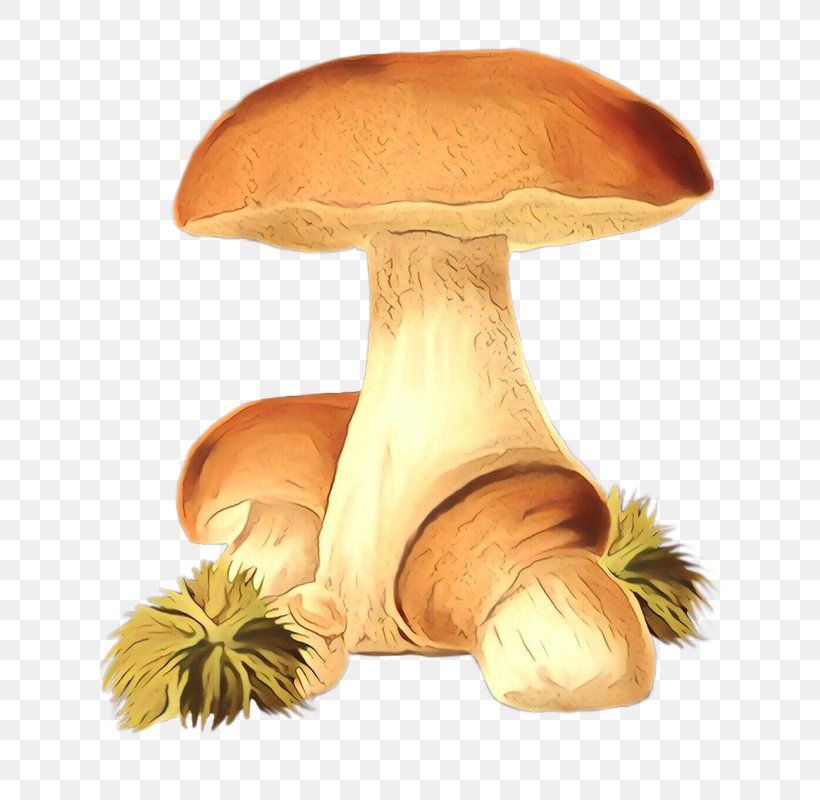 Edible Mushroom Product Design, PNG, 772x800px, Edible Mushroom, Agaric, Agaricaceae, Agaricomycetes, Agaricus Download Free