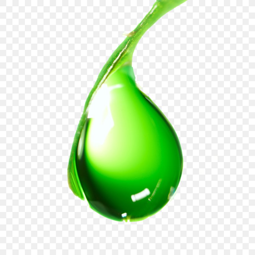 Pure-le Natural Liquid Greens Chlorophyll Pure-le Natural Liquid Greens Chlorophyll Pure-le Natural Liquid Greens Chlorophyll Water, PNG, 581x818px, Green, Chlorophyll, Concentrate, Food, Fruit Download Free