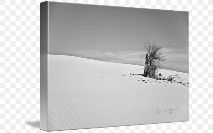 White Picture Frames Rectangle, PNG, 650x513px, White, Black And White, Landscape, Monochrome, Monochrome Photography Download Free