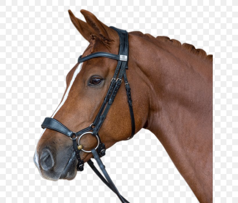 Horse Noseband Bridle Snaffle Bit Equestrian, PNG, 700x700px, Horse, Bridle, Classical Dressage, Double Bridle, Dressage Download Free
