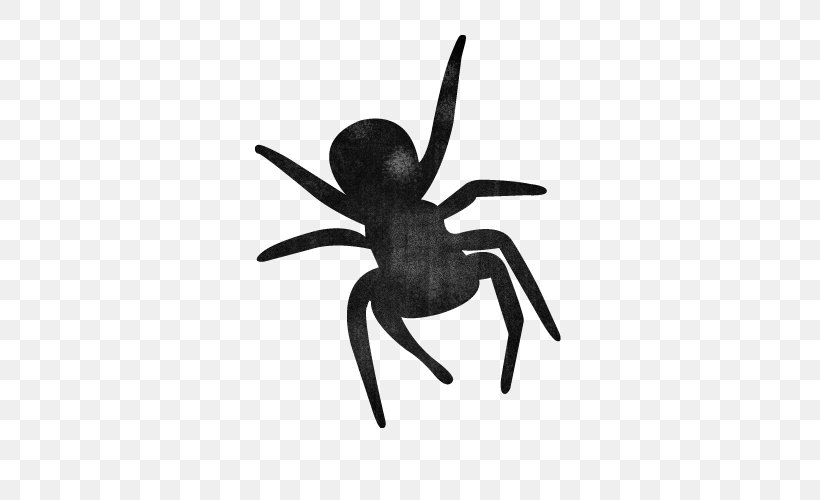 Momentum Pest Control Insect Bedbug, PNG, 500x500px, Pest, Arachnid, Arthropod, Bed Bug, Bedbug Download Free