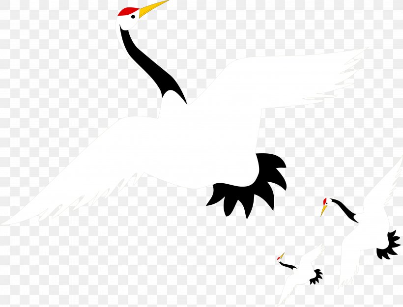 Red-crowned Crane Euclidean Vector, PNG, 3964x3023px, Crane, Architectural Engineering, Beak, Bird, Brand Download Free