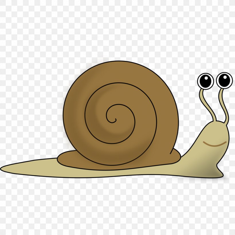 Snail Clip Art, PNG, 1024x1024px, Snail, Gastropod Shell, Heliciculture, Invertebrate, Mollusc Shell Download Free