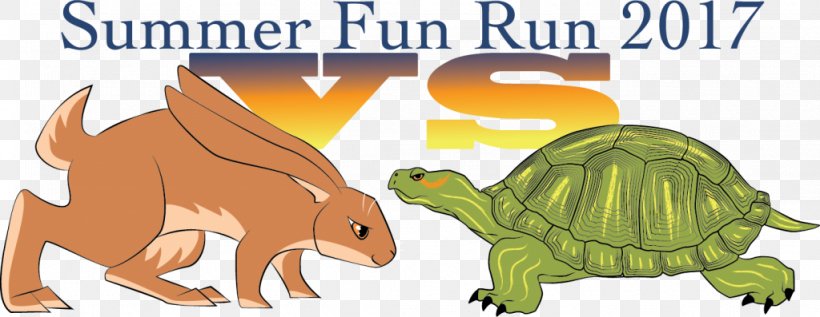 Tortoise Hendricks County Parks & Recreation YMCA Wildlife Turtle, PNG, 1024x397px, Tortoise, Animal Figure, Avon, Carnivora, Carnivoran Download Free