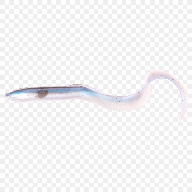 Eel Pound Worm Fishing Baits & Lures 5G, PNG, 3000x3000px, Eel, Centimeter, Fish, Fishing Baits Lures, Pound Download Free
