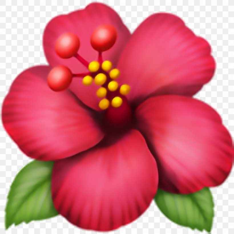 Emoji Domain Hibiscus .ws, PNG, 1024x1024px, Emoji, Annual Plant, Com, Domain Name, Emoji Domain Download Free