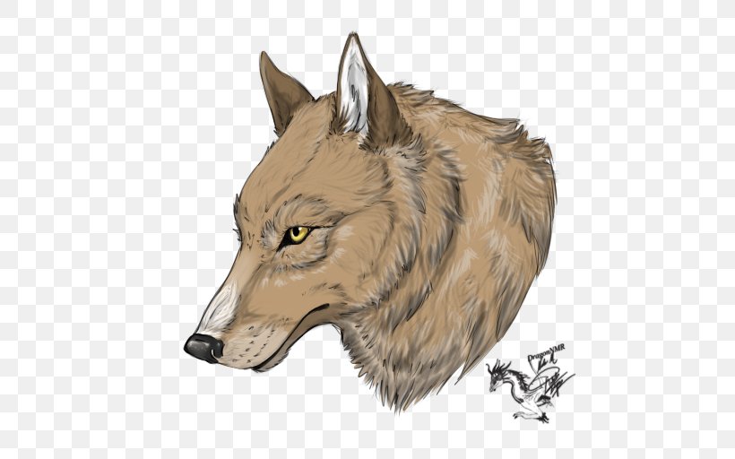 Gray Wolf Coyote Jackal Fauna Snout, PNG, 512x512px, Gray Wolf, Carnivoran, Coyote, Dog Like Mammal, Fauna Download Free