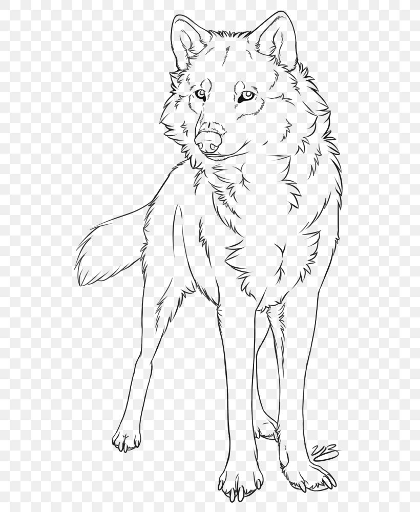 Gray Wolf Line Art Drawing Painting Sketch, PNG, 600x1000px, Gray Wolf, Art, Art Museum, Artwork, Black And White Download Free