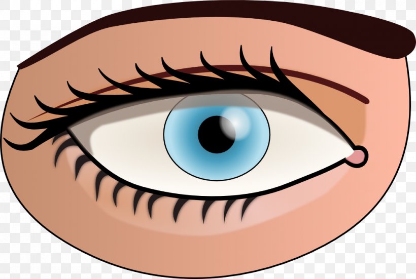 Human Eye Color Clip Art, PNG, 1000x672px, Watercolor, Cartoon, Flower, Frame, Heart Download Free