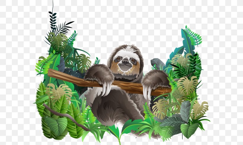 Sloth Jungle Clip Art Vector Graphics Illustration, PNG, 600x491px, Sloth, Animal, Bird, Feather, Forest Download Free