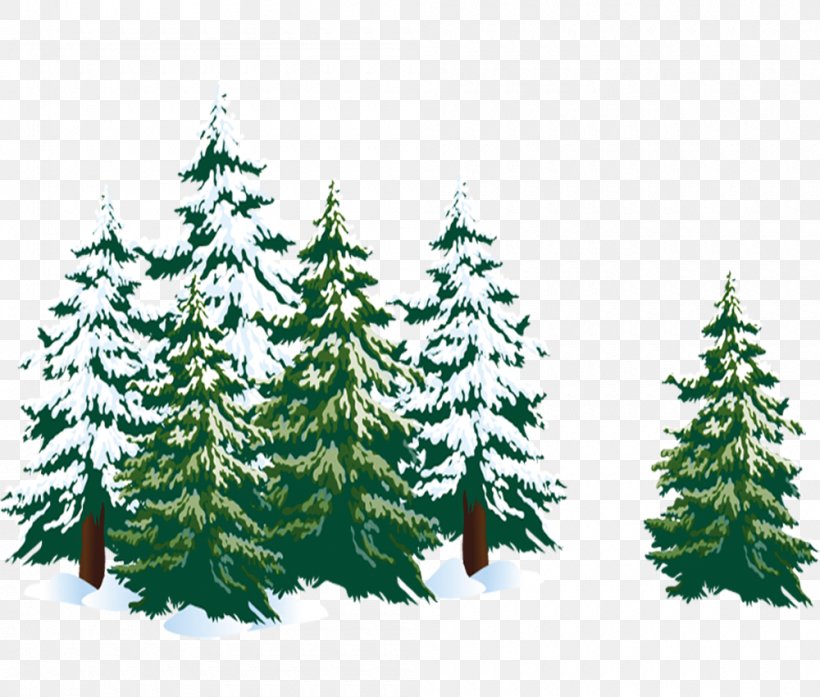 Spruce Christmas Tree Fir Pine, PNG, 1000x850px, Spruce, Biome, Blog, Branch, Centerblog Download Free