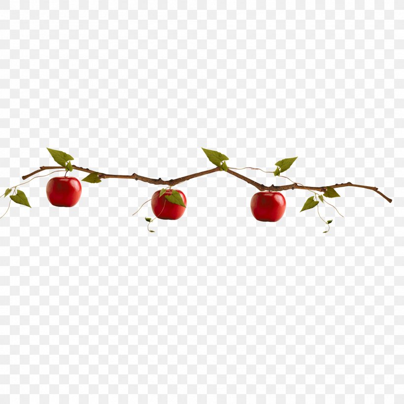 Apple Adobe Illustrator, PNG, 1920x1920px, Apple, Branch, Chart, Cherry, Food Download Free