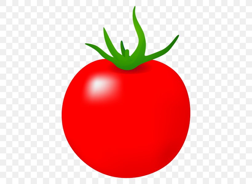 Plum Tomato Bush Tomato Vegetable Illustration, PNG, 600x600px, Plum Tomato, Apple, Bell Pepper, Budi Daya, Bush Tomato Download Free
