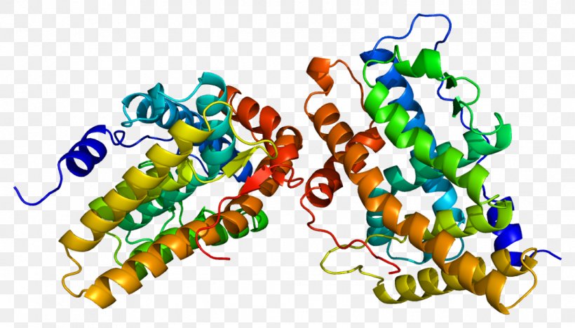 Selective Progesterone Receptor Modulator Selective Androgen Receptor Modulator, PNG, 1085x620px, Progesterone Receptor, Agonist, Androgen, Androgen Receptor, Aromatase Download Free