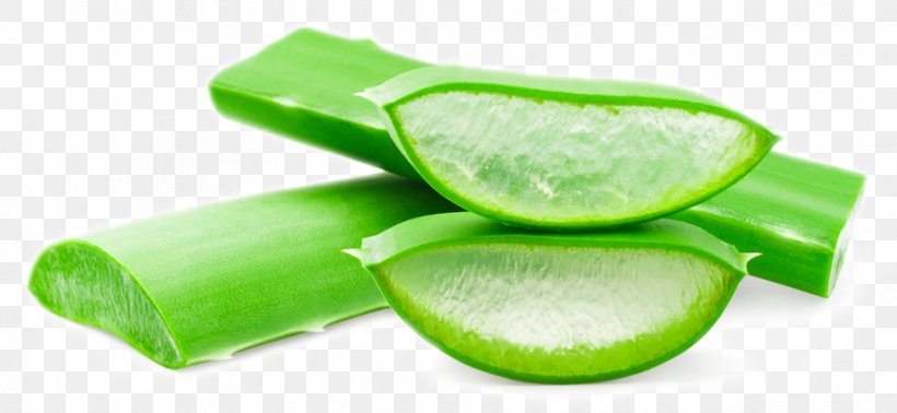 Aloe Vera Forever Living Products Royalty-free Stock Photography Image, PNG, 886x409px, Aloe Vera, Aloes, Cabelo, Depositphotos, Food Download Free