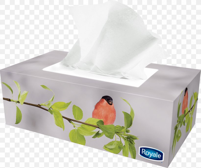 Tissue Paper Box Facial Tissues Royale, PNG, 999x833px, Paper, Box, Brand, Face, Facial Tissues Download Free