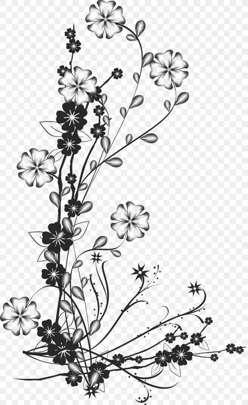 Vector Graphics Design Image, PNG, 1533x2500px, Flower, Black And White, Branch, Drawing, Flora Download Free