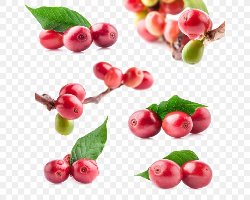 Coffee Bean Red Beans And Rice Frutti Di Bosco, PNG, 658x658px, Coffee, Accessory Fruit, Acerola, Acerola Family, Bean Download Free