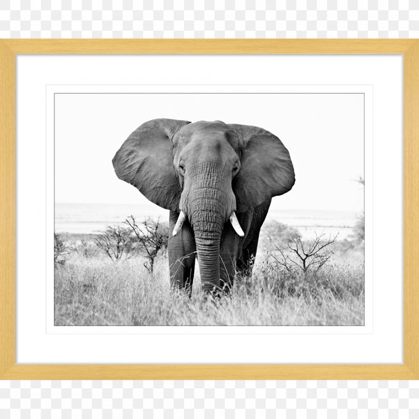 Indian Elephant African Bush Elephant Elephantidae Wildlife Animal-made Art, PNG, 1000x1000px, Indian Elephant, African Bush Elephant, African Elephant, Animal, Animalmade Art Download Free