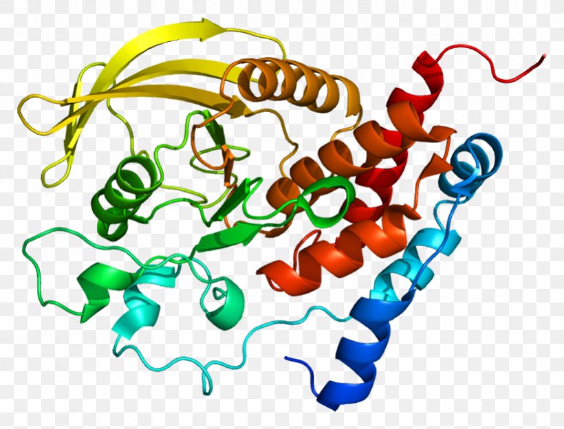 Protein Tyrosine Phosphatase Gene Receptor, PNG, 821x625px, Watercolor, Cartoon, Flower, Frame, Heart Download Free