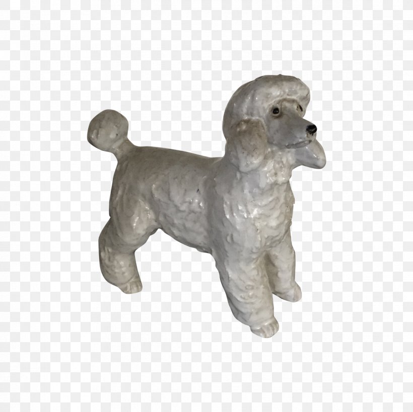 Standard Poodle Miniature Poodle Puppy Dog Breed, PNG, 2338x2338px, Standard Poodle, Breed, Carnivoran, Companion Dog, Crossbreed Download Free