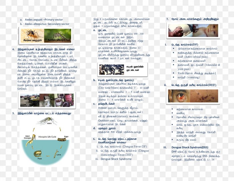 Tamil Malaysia Essay Book Brochure, PNG, 2200x1700px, Tamil, Book, Brochure, Dengue, Essay Download Free
