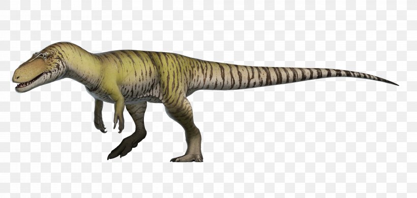 Torvosaurus Megalosaurus Eustreptospondylus Afrovenator Dinosaur Png 4125x1963px Torvosaurus Afrovenator Allosaurus Animal Figure Ceratosaurus Download Free - free download dragon roblox dinosaur torvosaurus