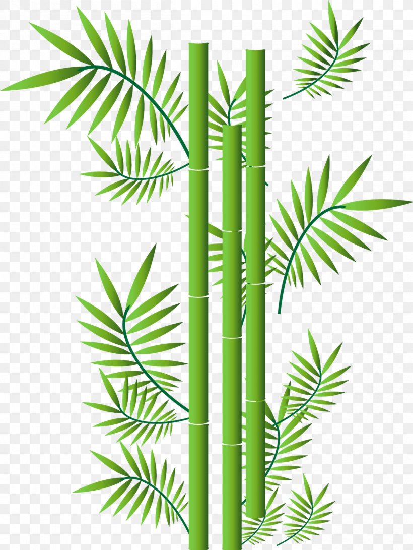 Tropical Woody Bamboos, PNG, 1202x1600px, Bamboo, Arecales, Borassus Flabellifer, Grass, Grass Family Download Free
