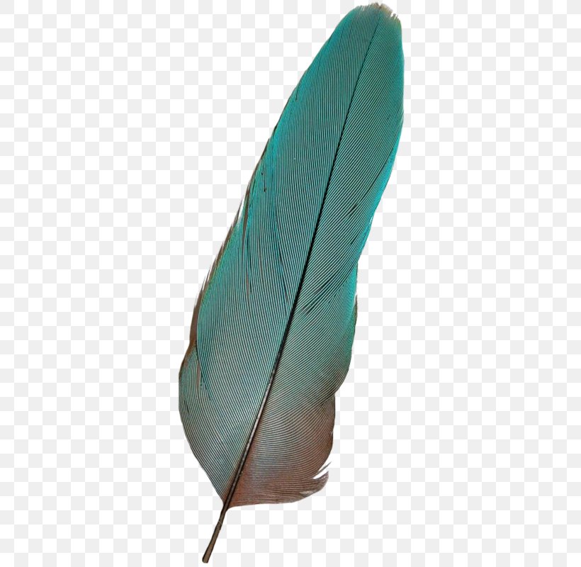 Bird Feather, PNG, 330x800px, Bird, Feather, Gratis, Shoe, Transparency And Translucency Download Free