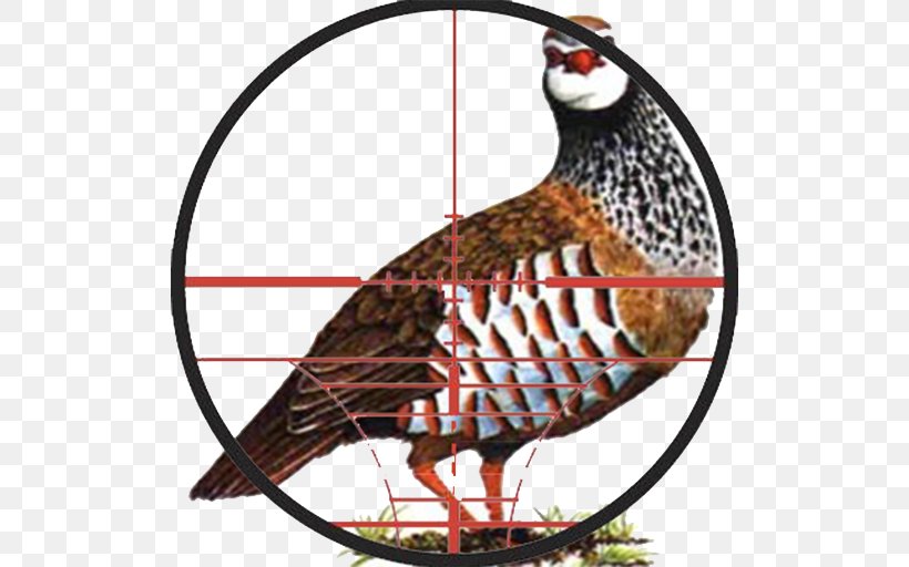 Sub Terra Partridge Hunting Phasianidae, PNG, 512x512px, Partridge, Android, Beak, Biggame Hunting, Bird Download Free