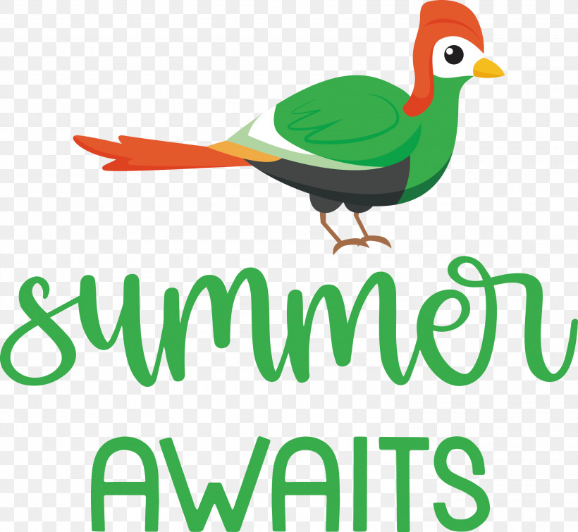 Summer Awaits Summer Summer Vacation, PNG, 3000x2763px, Summer, Beak, Biology, Birds, Ducks Download Free