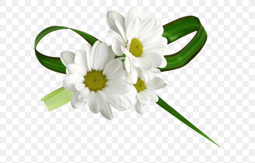 Common Daisy Chamomile Cut Flowers, PNG, 600x524px, Common Daisy, Chamomile, Cut Flowers, Flower, Flower Bouquet Download Free
