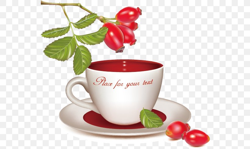 Green Tea White Tea Rose Hip, PNG, 558x489px, Tea, Berry, Black Tea, Caffeine, Coffee Cup Download Free