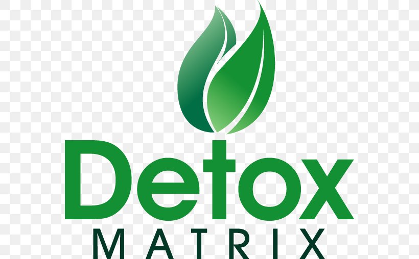 Logo Detoxification Font Brand Drug, PNG, 566x508px, Logo, Alcohol, Area, Brand, Detoxification Download Free