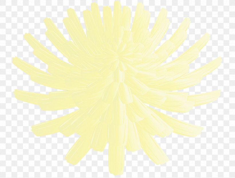 Petal Yellow Flower, PNG, 3000x2274px, Dandelion Flower, Flower, Paint, Petal, Watercolor Download Free