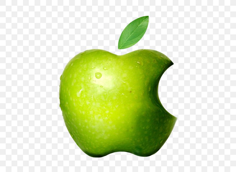 Apple Logo Macintosh Image Vector Graphics, PNG, 600x600px, Apple, Company, Computer, Food, Fruit Download Free