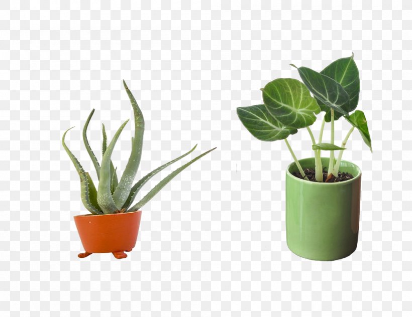 Flowerpot Bonsai Icon, PNG, 1000x771px, Flowerpot, Bonsai, Container Garden, Gardening, Grass Download Free