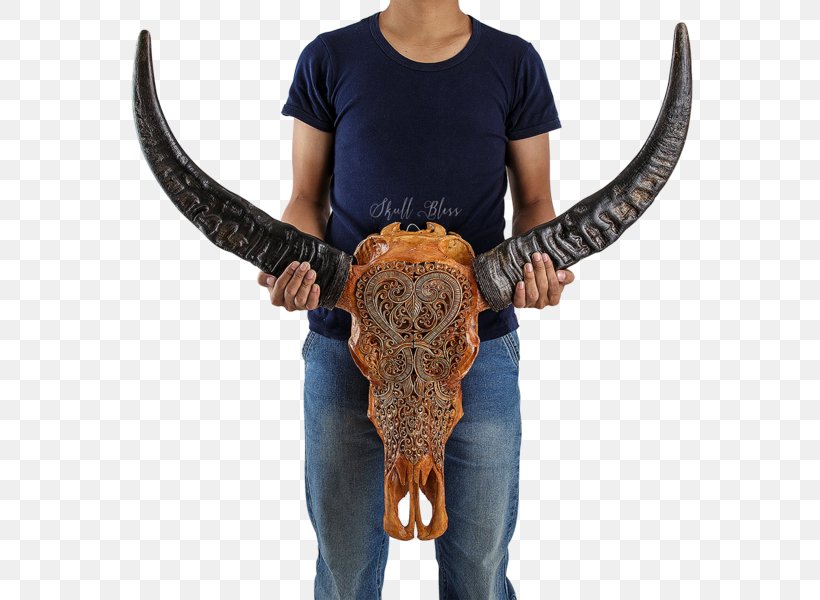 Horn Cattle SKULL MYSTIC Antler, PNG, 600x600px, Horn, Antique, Antler, Carving, Cattle Download Free