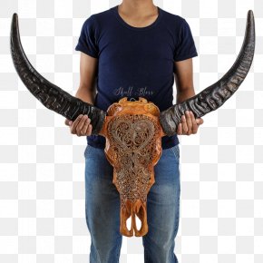 Buffalo Skull - Horn Cattle SKULL MYSTIC Antler PNG