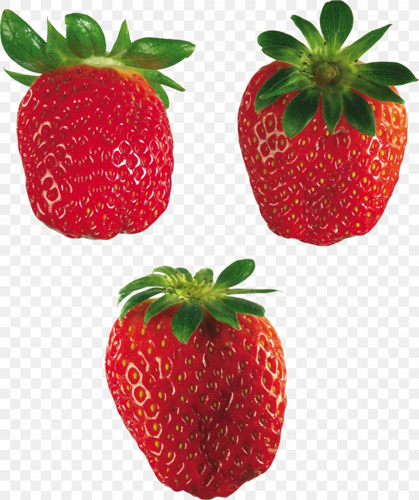 Musk Strawberry Nalewka Accessory Fruit, PNG, 3444x4111px, Strawberry, Accessory Fruit, Auglis, Berry, Bilberry Download Free