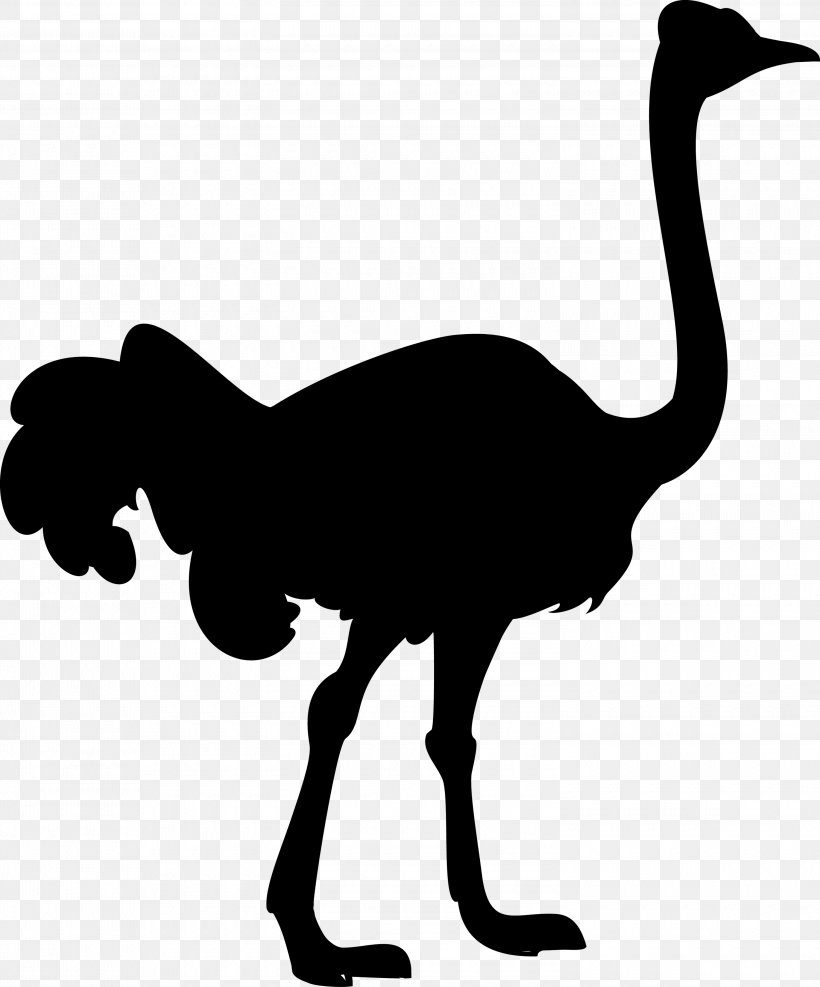 Llama Clip Art Vector Graphics Silhouette Royalty-free, PNG, 3000x3611px, Llama, Beak, Bird, Common Ostrich, Depositphotos Download Free