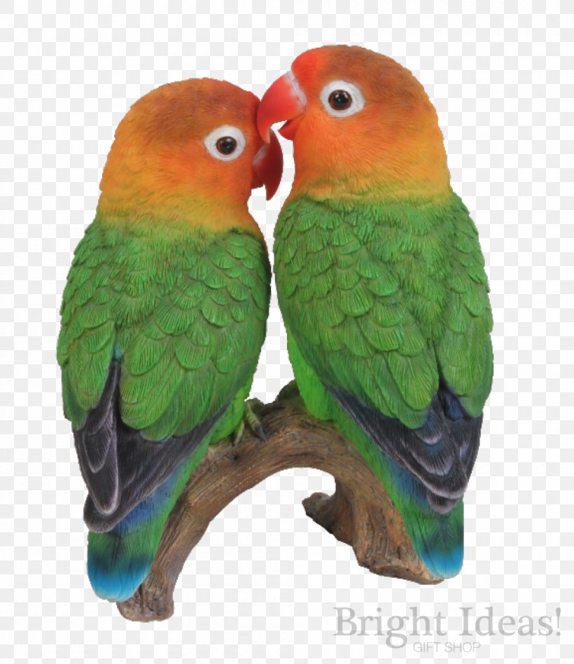 Lovebird Parrot Ornament Art, PNG, 1000x1157px, Lovebird, Art, Beak, Bird, Chesney Hawkes Download Free