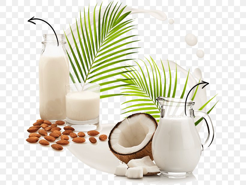 Plant Milk Almond Milk Coconut Milk Coconut Water, PNG, 647x615px, Milk, Almond Milk, Coconut, Coconut Milk, Coconut Water Download Free