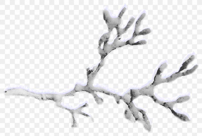 Snow Twig, PNG, 1745x1178px, Branch, Black And White, Christmas Tree, Hand, Leaf Download Free