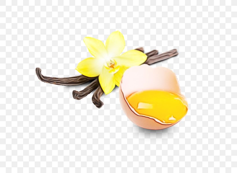Yellow Flower Plant Vanilla Petal, PNG, 600x600px, Watercolor, Fashion Accessory, Flower, Narcissus, Paint Download Free