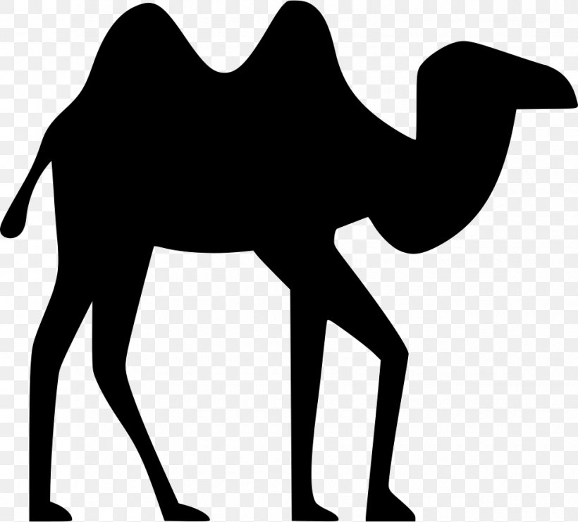 Clip Art Silhouette Dromedary Image, PNG, 980x886px, Silhouette, Arabian Camel, Black And White, Camel, Camel Like Mammal Download Free