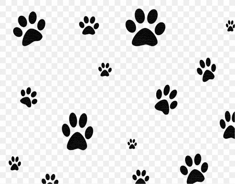 FM Broadcasting Australian Cattle Dog KBXB KREZ United States, PNG, 1280x1001px, Fm Broadcasting, Australian Cattle Dog, Black, Black And White, Dog Download Free