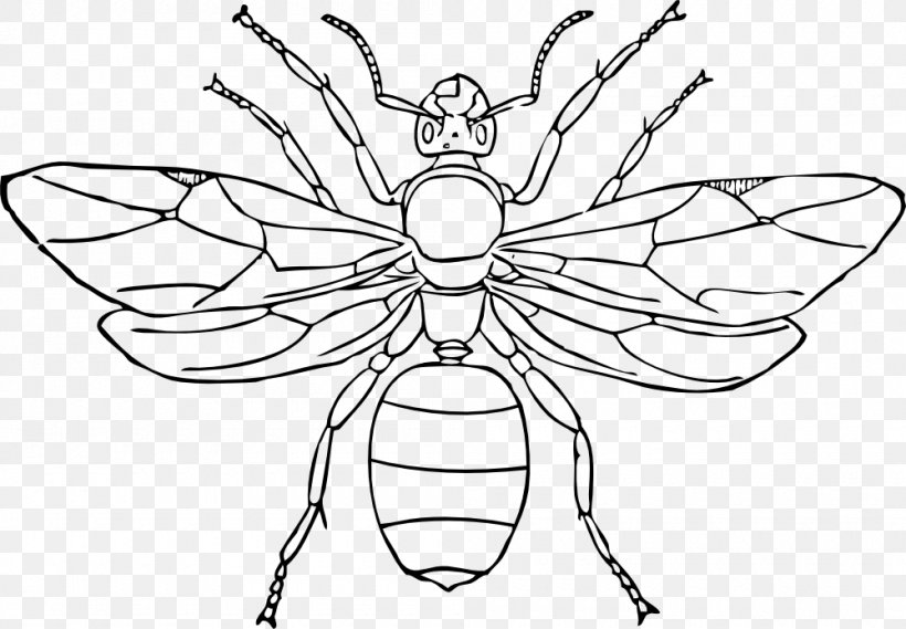 Queen Ant Line Art Drawing Insect, PNG, 1000x694px, Ant, Art, Arthropod, Black Garden Ant, Blackandwhite Download Free