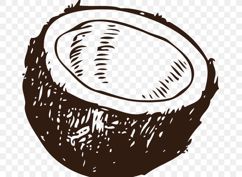 Coconut Water Arecaceae Clip Art, PNG, 668x600px, Coconut Water, Arecaceae, Black And White, Coconut, Drawing Download Free